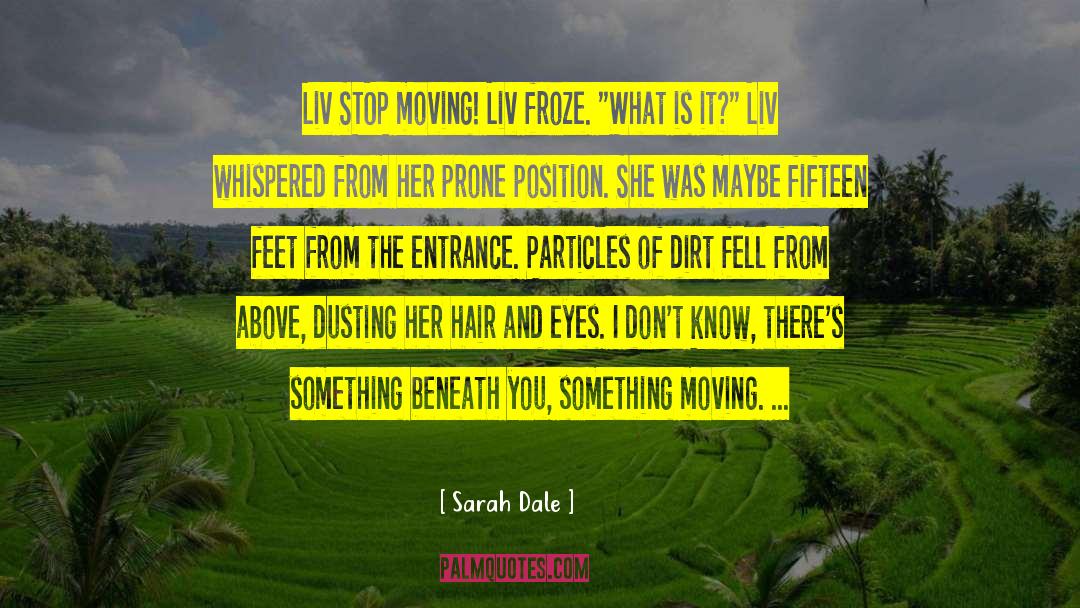 Dusting quotes by Sarah Dale