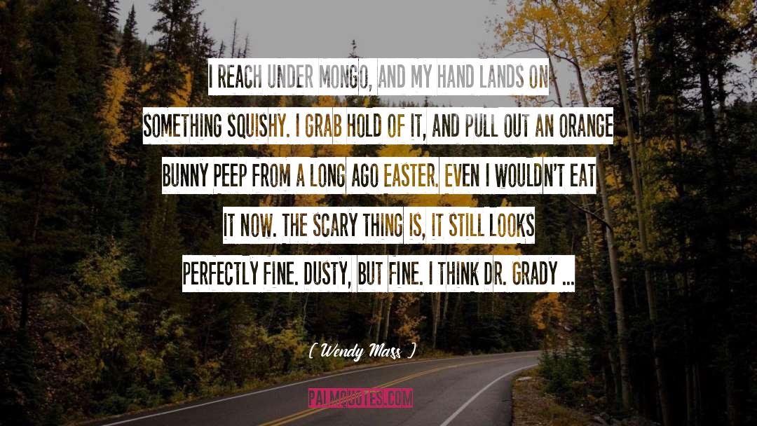 Dusty quotes by Wendy Mass