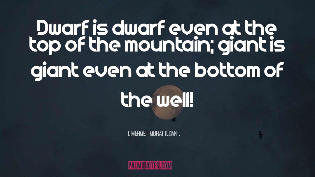 Dwarf quotes by Mehmet Murat Ildan