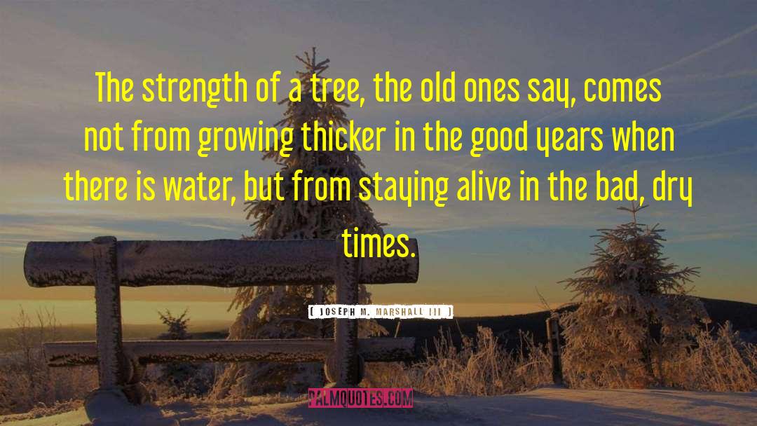Dwarfed Tree quotes by Joseph M. Marshall III