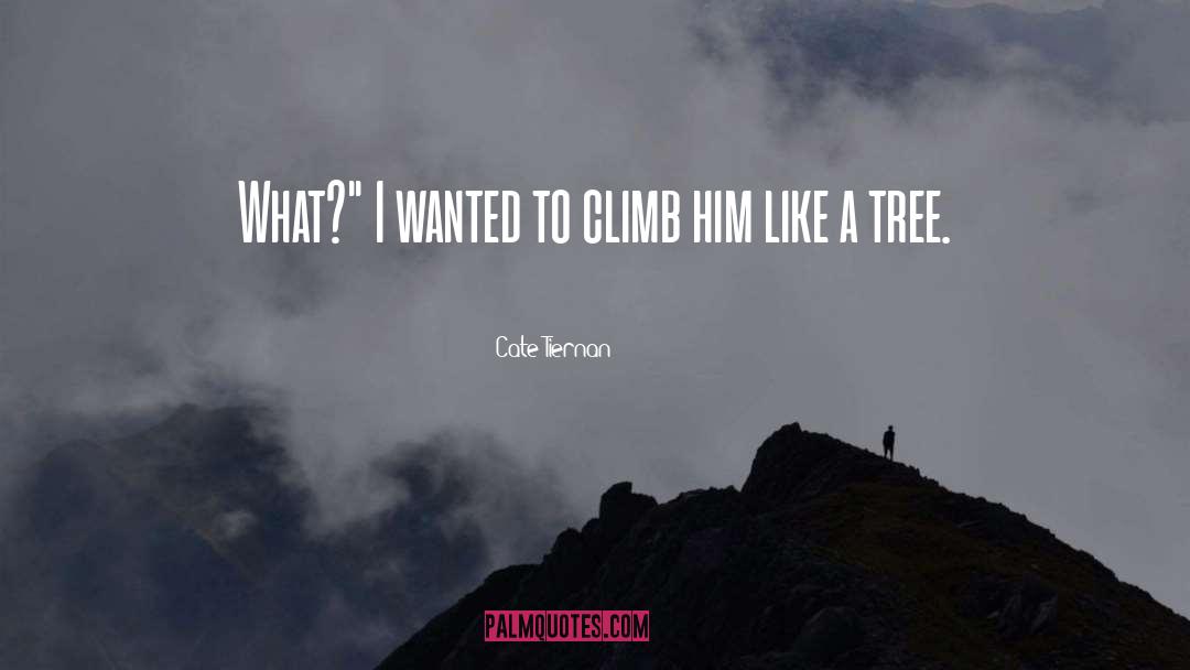 Dwarfed Tree quotes by Cate Tiernan