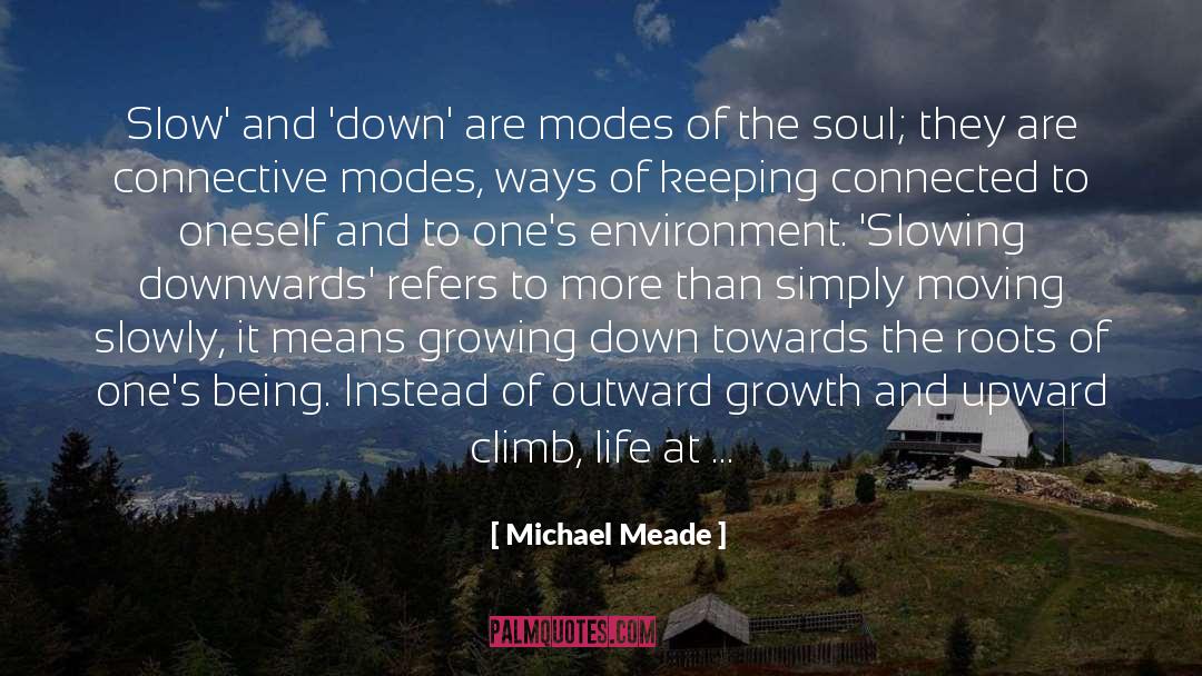 Dwell quotes by Michael Meade