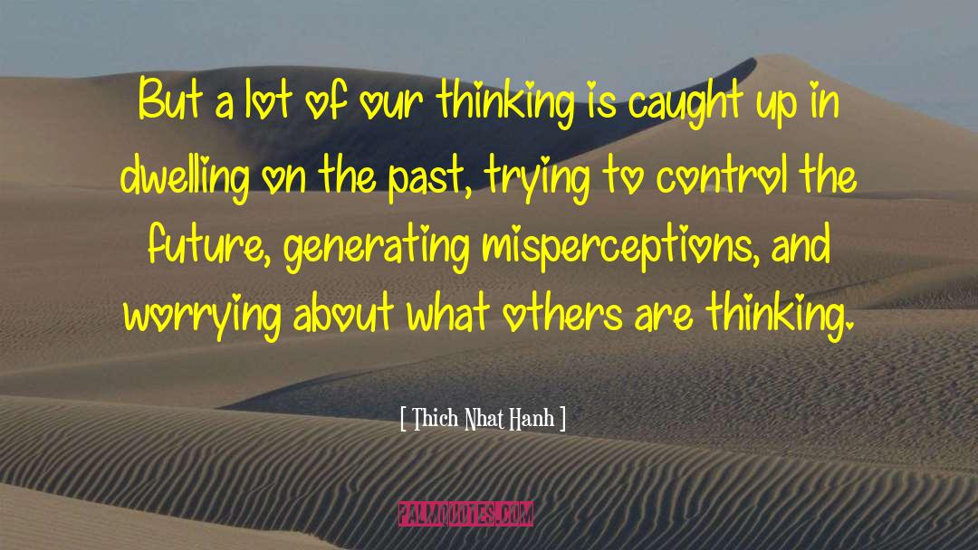 Dwelling On The Past quotes by Thich Nhat Hanh