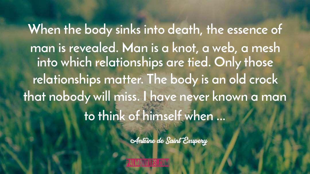 Dying Earth quotes by Antoine De Saint Exupery