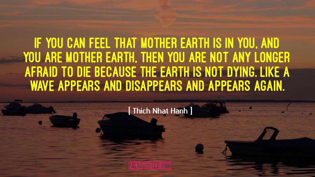 Dying Earth quotes by Thich Nhat Hanh