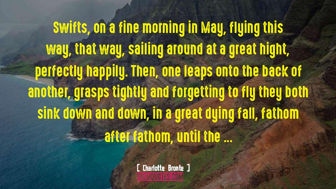 Dying Fall quotes by Charlotte Bronte