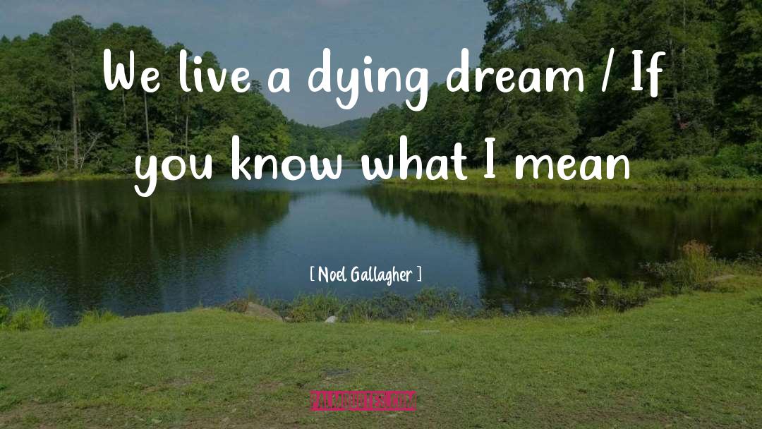 Dying Inside quotes by Noel Gallagher