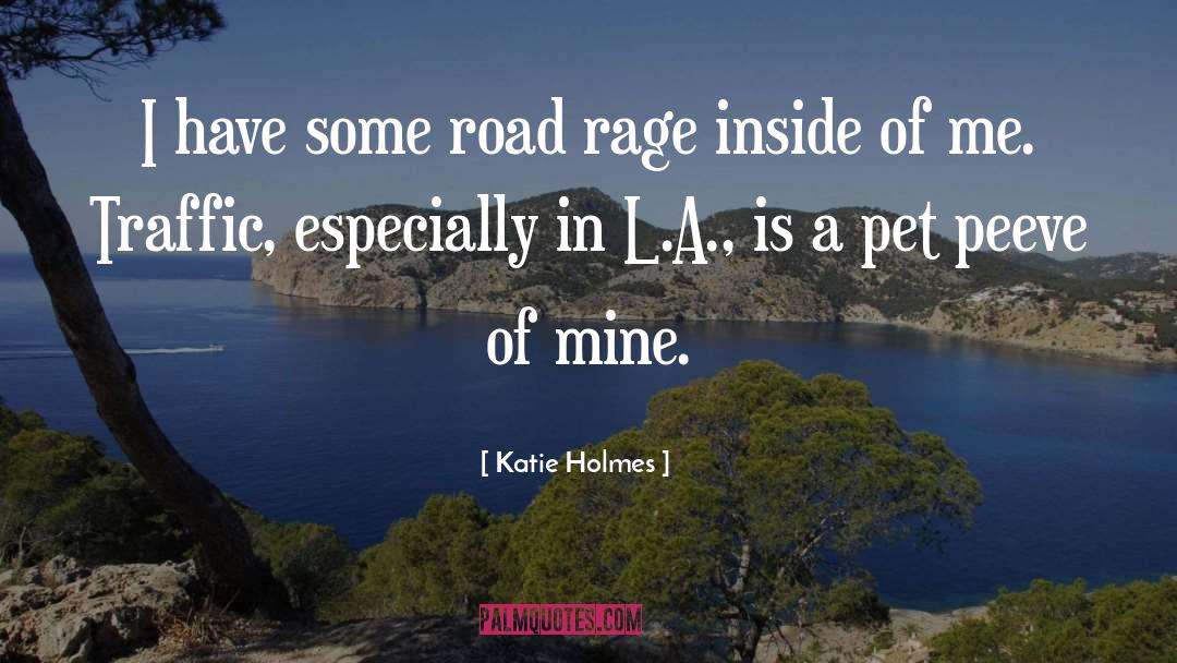 Dying Inside quotes by Katie Holmes