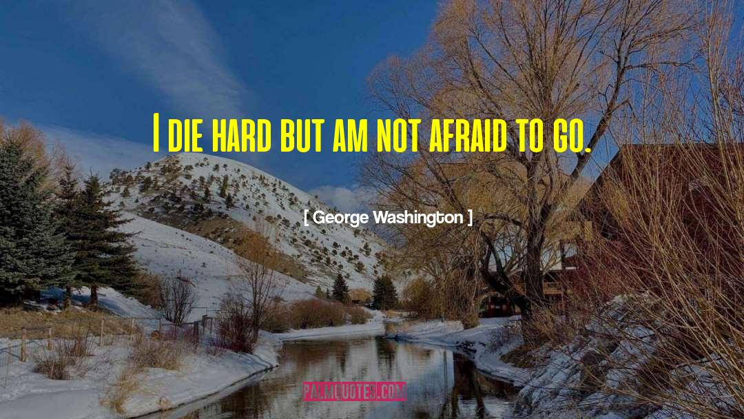 Dying Last Words quotes by George Washington