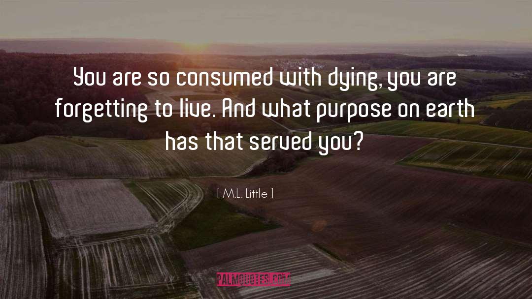 Dying With Dignity quotes by M.L. Little