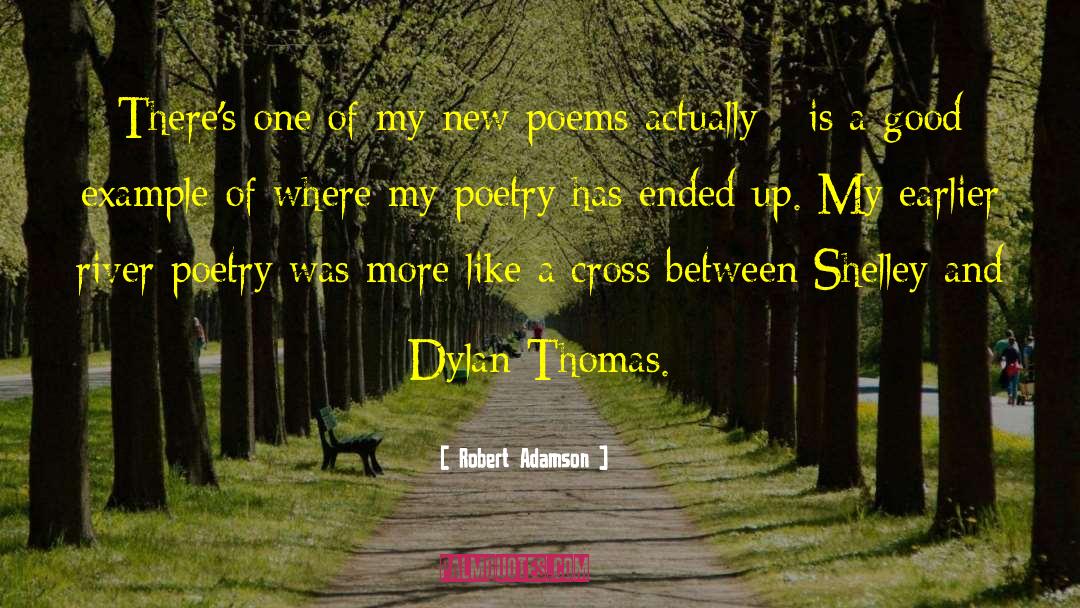 Dylan Thomas quotes by Robert Adamson