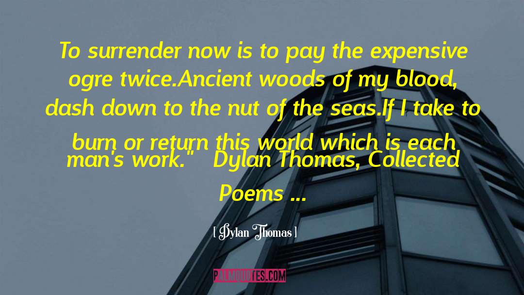 Dylan Thomas quotes by Dylan Thomas