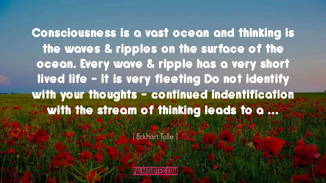 Dysfunction quotes by Eckhart Tolle