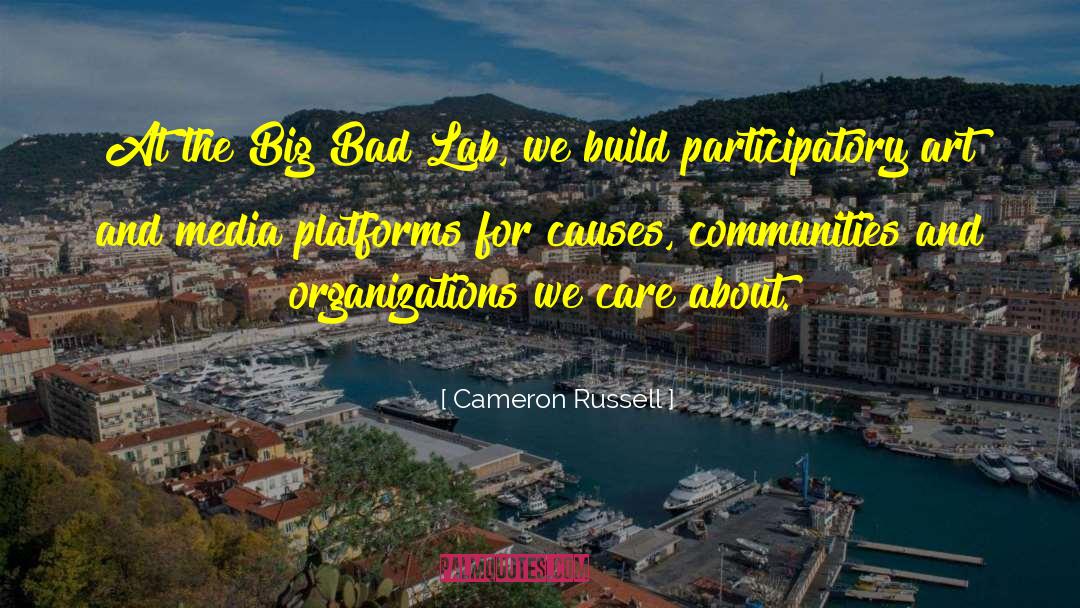 Dysfunctional Organizations quotes by Cameron Russell