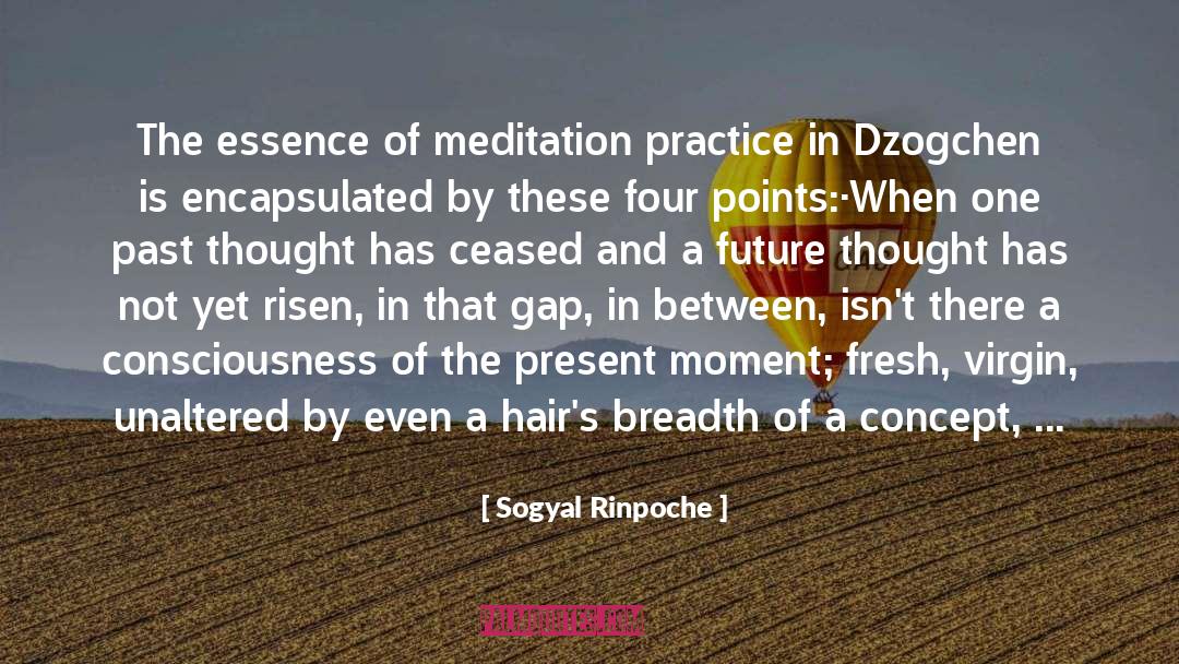 Dzogchen quotes by Sogyal Rinpoche