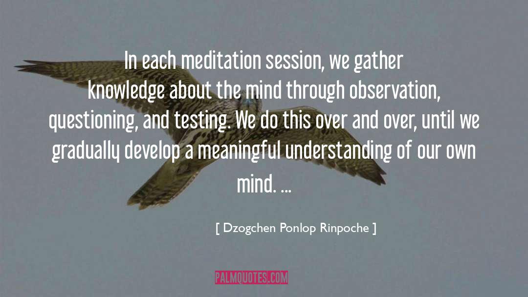 Dzogchen quotes by Dzogchen Ponlop Rinpoche