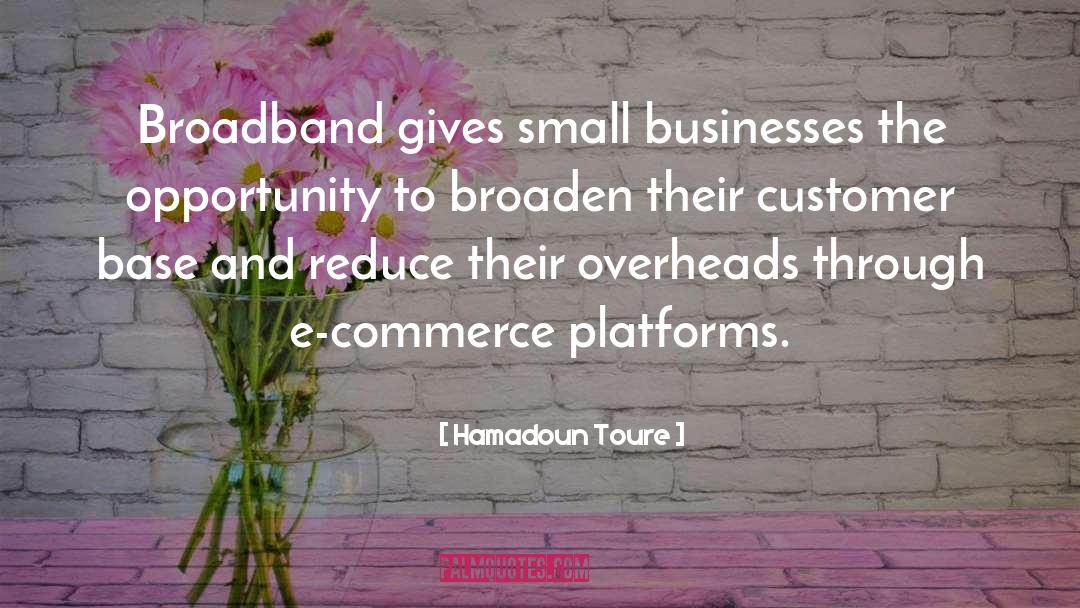 E Commerce quotes by Hamadoun Toure