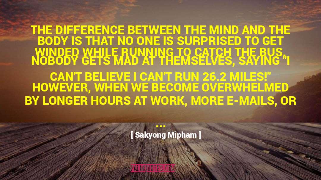 E Mails quotes by Sakyong Mipham