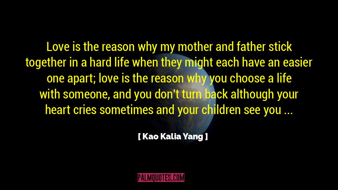 Each Day Is A Gift quotes by Kao Kalia Yang