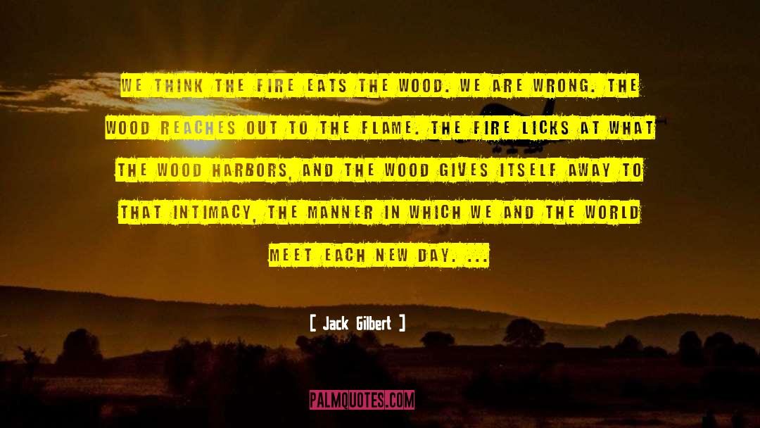 Each New Day quotes by Jack Gilbert