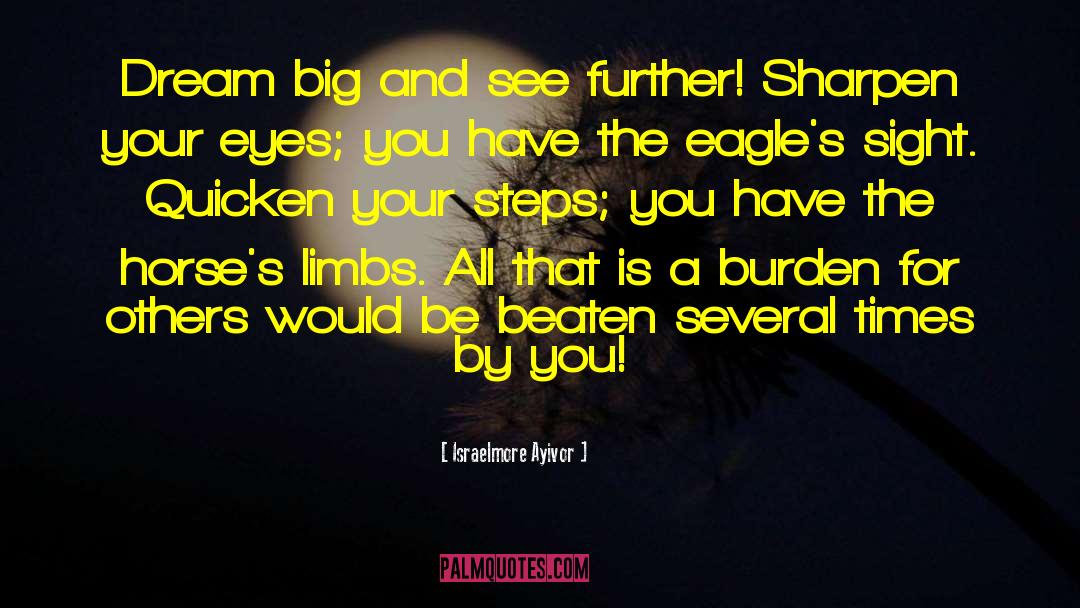 Eagle S Sight quotes by Israelmore Ayivor