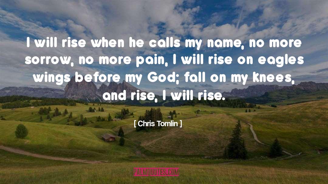 Eagles Wings quotes by Chris Tomlin