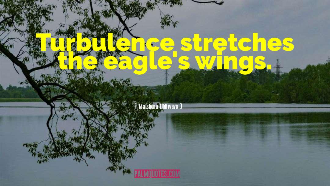 Eagles Wings quotes by Matshona Dhliwayo