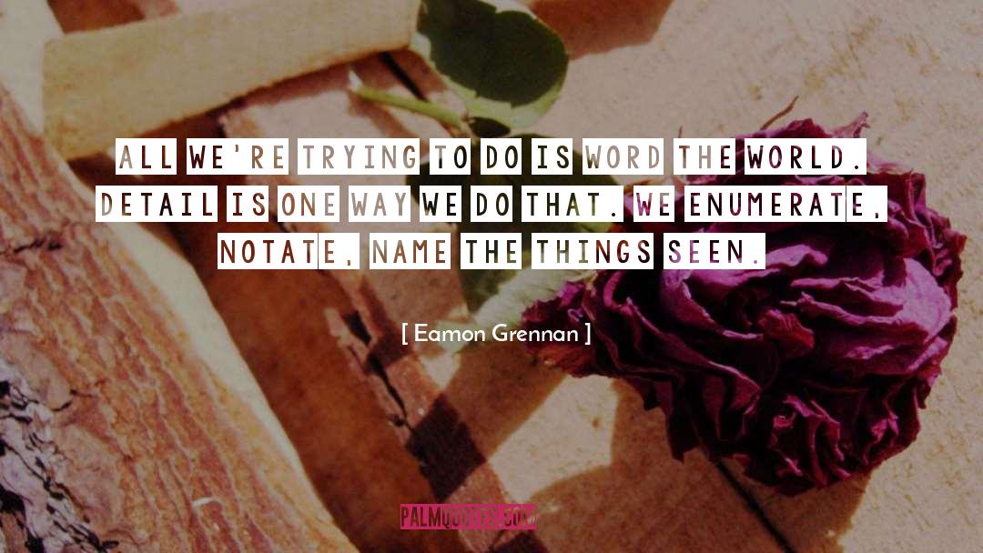 Eamon quotes by Eamon Grennan