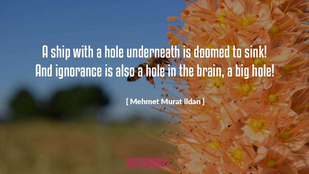 Ear Hole Infection quotes by Mehmet Murat Ildan