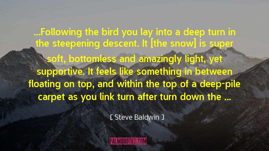 Early Bird Gets The Worm quotes by Steve Baldwin