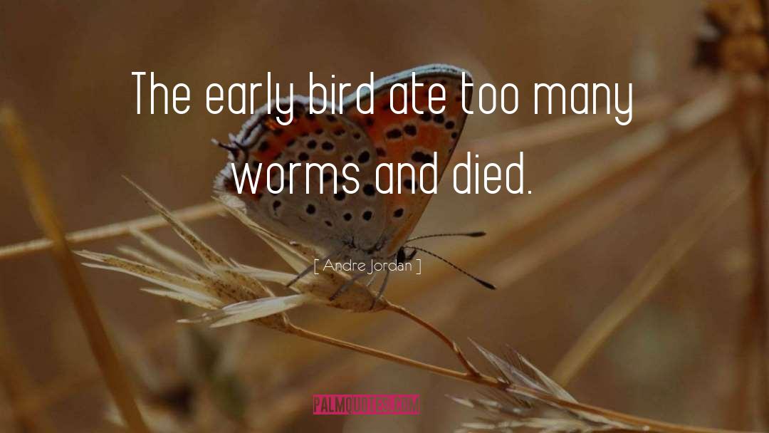 Early Bird quotes by Andre Jordan