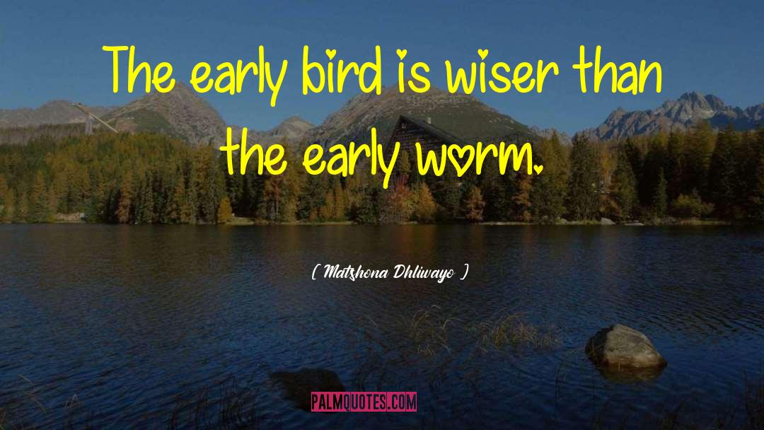 Early Bird quotes by Matshona Dhliwayo