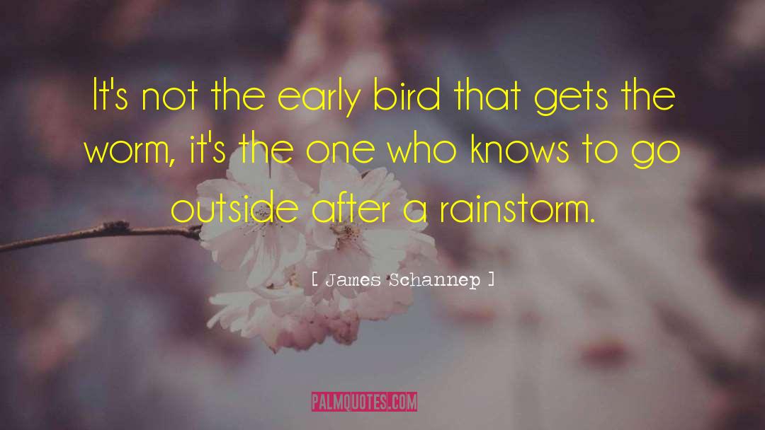 Early Bird quotes by James Schannep