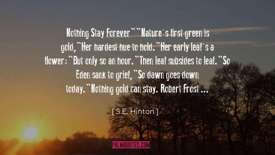 Early Education quotes by S.E. Hinton