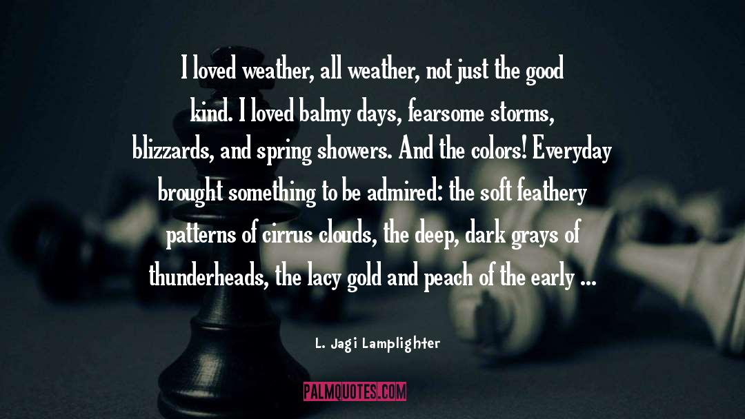 Early Morning quotes by L. Jagi Lamplighter
