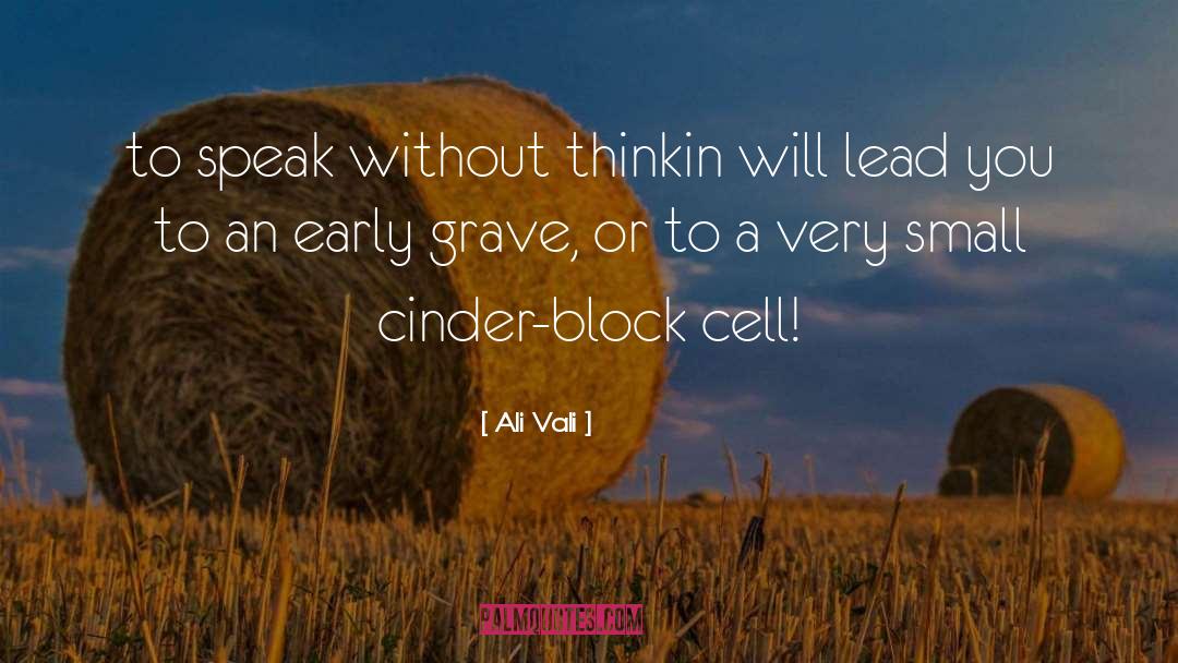 Early Readers quotes by Ali Vali