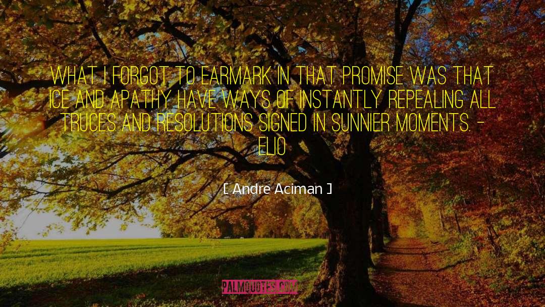 Earmark quotes by Andre Aciman