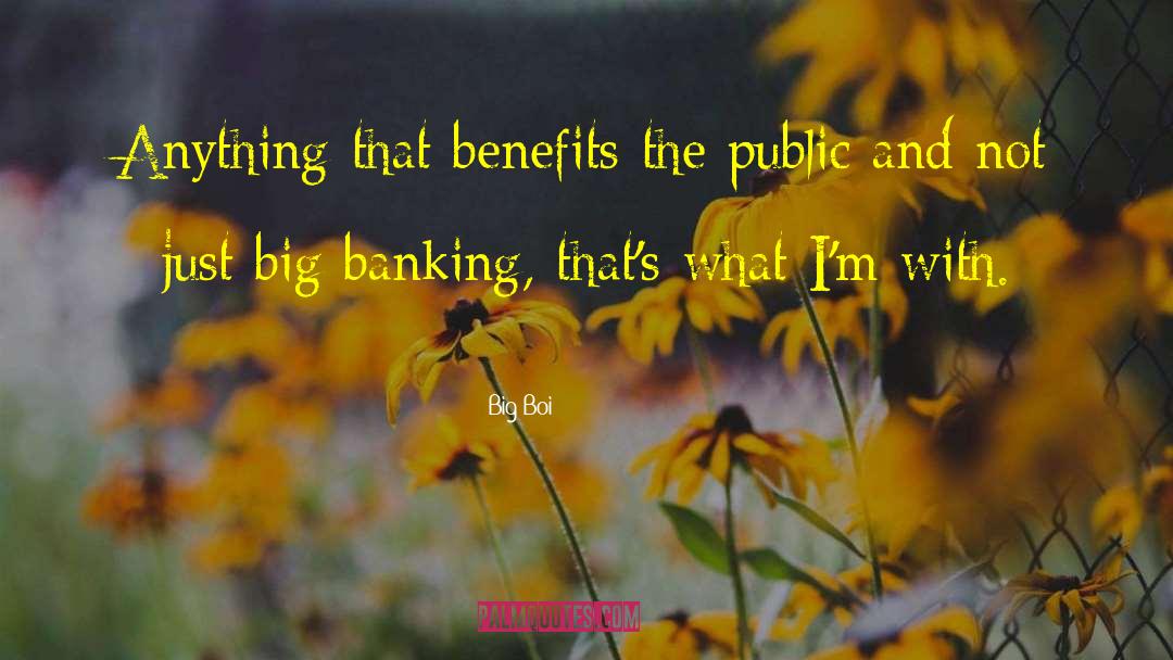 Earmarking In Banking quotes by Big Boi