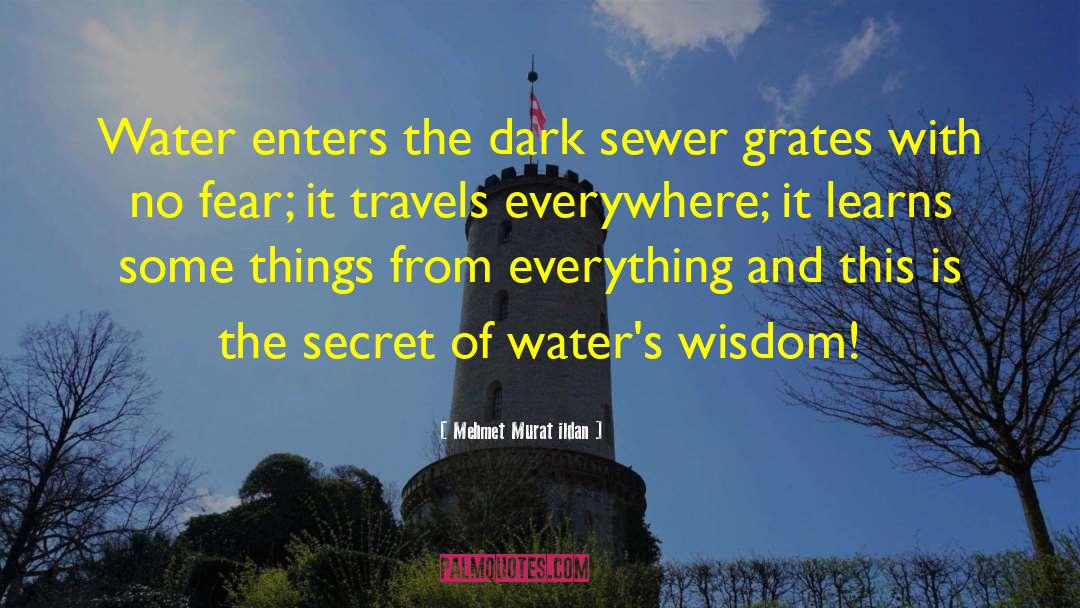 Earth And Water quotes by Mehmet Murat Ildan