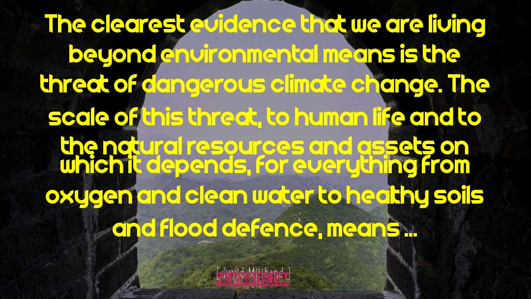 Earth And Water quotes by David Miliband