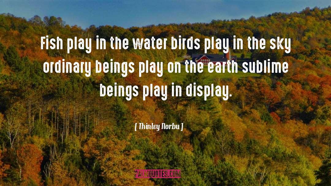 Earth Care quotes by Thinley Norbu