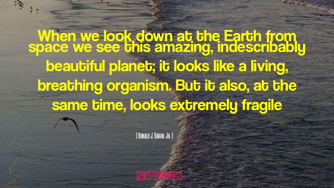 Earth From Space quotes by Ronald J. Garan, Jr.