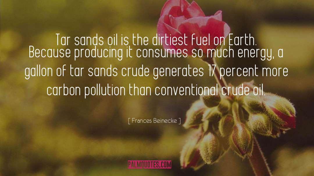 Earth Pollution quotes by Frances Beinecke