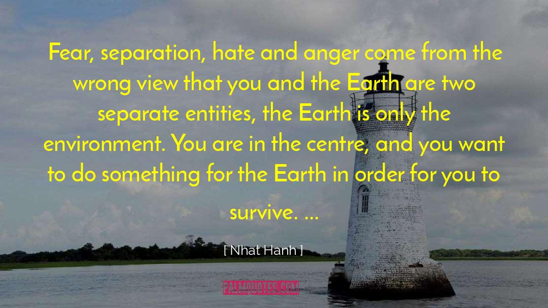 Earth Pollution quotes by Nhat Hanh