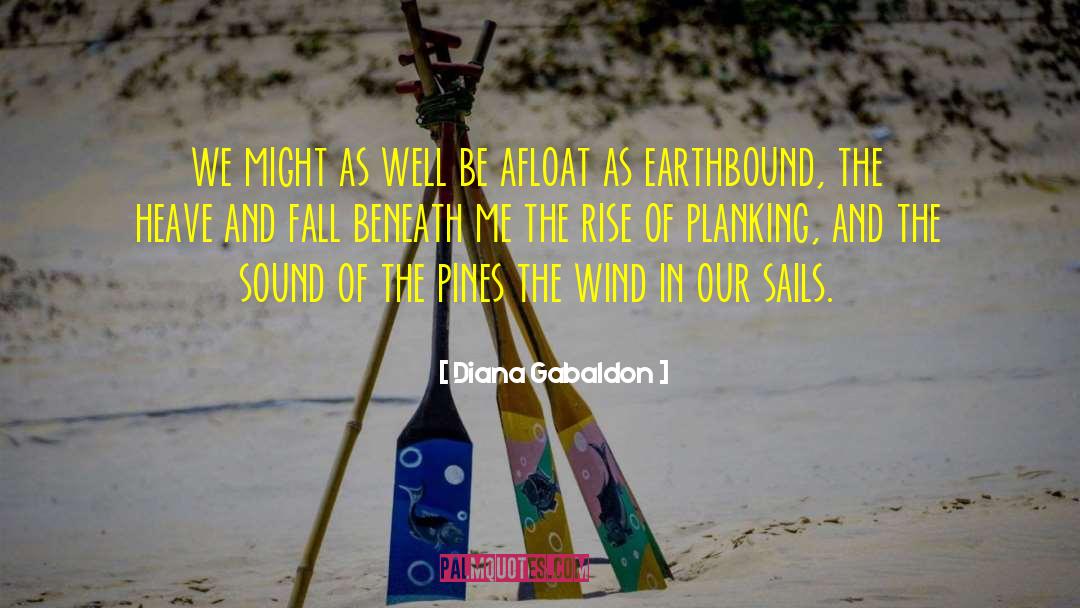 Earthbound quotes by Diana Gabaldon