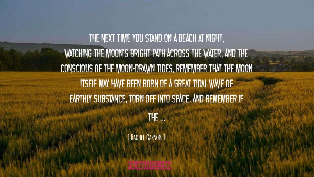 Earthly quotes by Rachel Carson