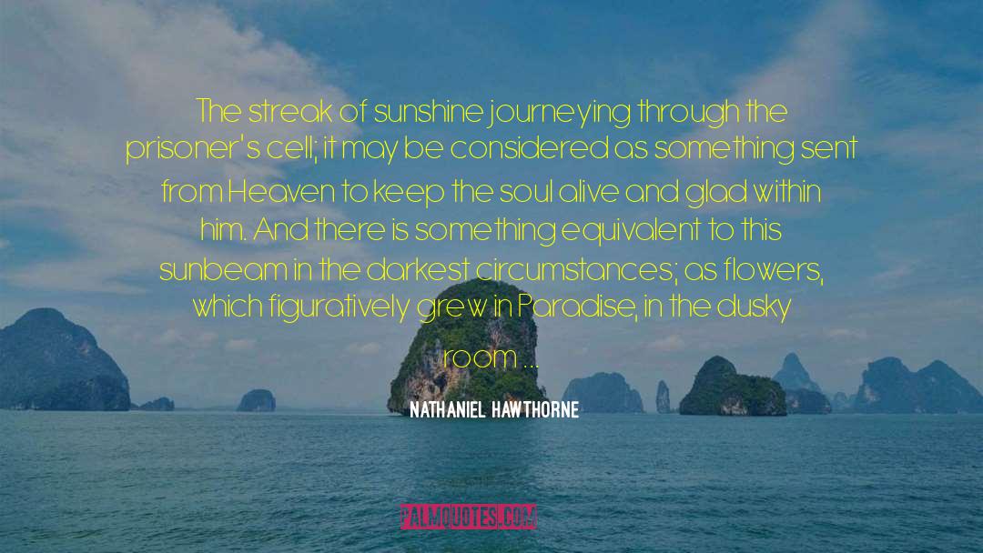 Earthly Vanity quotes by Nathaniel Hawthorne