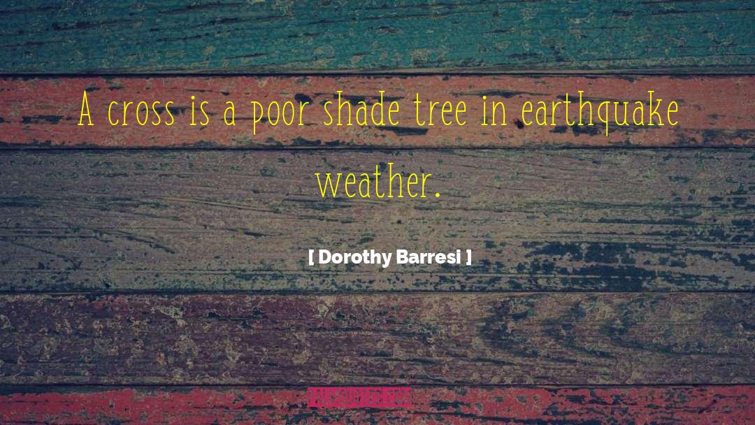 Earthquake quotes by Dorothy Barresi