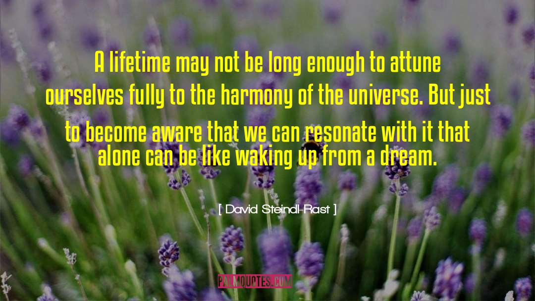 Earthschool Harmony quotes by David Steindl-Rast