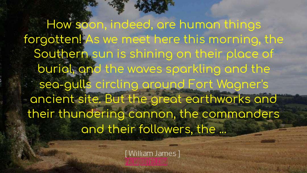 Earthworks quotes by William James